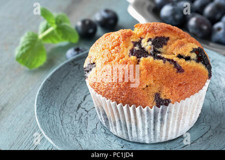 Close-up auf Muffins mit Heidelbeeren und grüne Minze auf Grau rustikaler Hintergrund Stockfoto