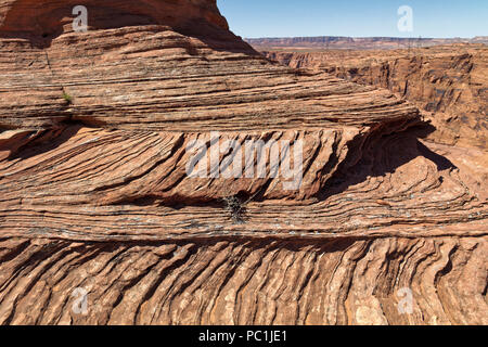 Die Betten Navajo Sandstein im Horseshoe Bend, Glen Canyon National Recreation Area, Page, Arizona Stockfoto