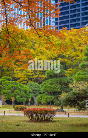 Hamarikyu (auch Hama Rikyu) Ältesten japanischen Garten und modernen Wolkenkratzern von Shiodome, Chuo Bezirk, Tokyo, Region Kanto, Insel Honshu, Japan Stockfoto