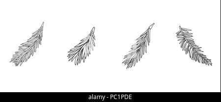 Hand Pine Tree Branch auf weißem Hintergrund dargestellt. Tinte Abbildung in Vintage graviert Stil Stockfoto