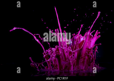 Magenta, rosa Farbe, Tinte spritzen auf schwarzem Hintergrund Stockfoto