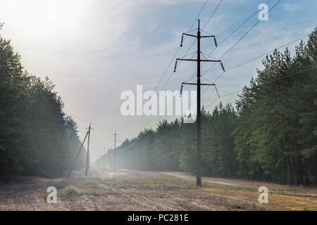 Waldlichtung mit Power Transmission Line Vorfahrt. Stromversorgung Kabel im Nebel am Morgen Stockfoto