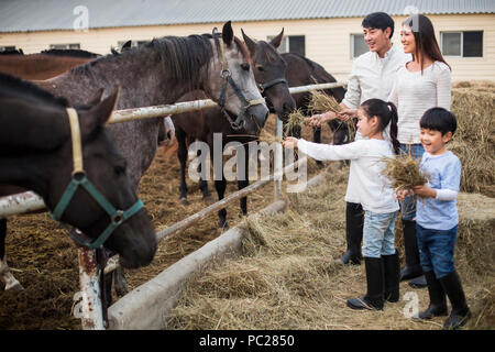 Die jungen chinesischen Familie Fütterung Pferd Stockfoto