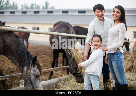 Die jungen chinesischen Familie Fütterung Pferd Stockfoto