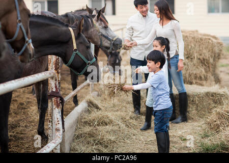 Die jungen chinesischen Familie Fütterung Pferd Stockfoto