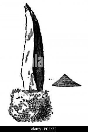 Aboriginesofvictoria01-p380 - Abb. 201. Stockfoto