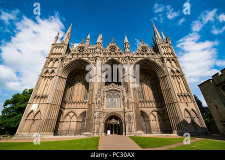 Peterborough Kathedrale, Cambridgeshire, England, UK Stockfoto