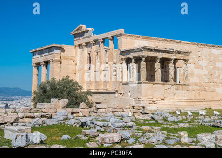 Erechtheion und Tempel der Athene auf der Akropolis in Griechenland. Karyatiden am Erechtheion der Parthenon. Stockfoto