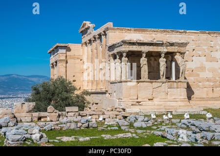 Erechtheion und Tempel der Athene auf der Akropolis in Griechenland. Karyatiden am Erechtheion der Parthenon. Stockfoto