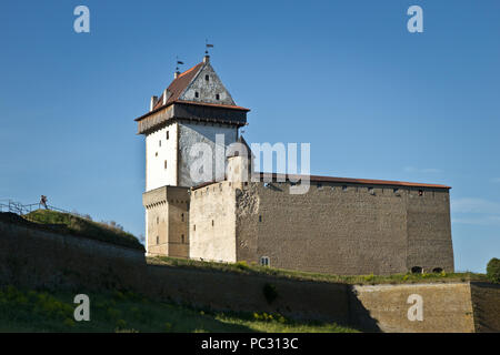 Mittelalterliche Burg in Narva, estnische Grenze mit Russland Stockfoto