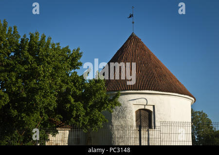 Mittelalterliche Burg in Narva, estnische Grenze mit Russland Stockfoto