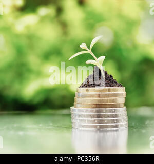 Münzen im Boden mit jungen Pflanze auf grünem Hintergrund. Geld Wachstum Konzept. High Key Filter. Stockfoto