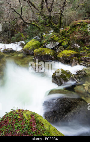 Der Fluss Homen, Rio Homen, Kaskaden über Geröll unter üppigen grünen Farben der Frühling Vegetation. Durch die geira Romana, der römischen Straße, durch. Stockfoto