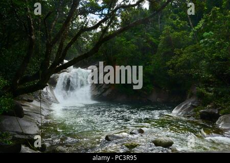 Josephine Falls ist ein großer Wasserfall und ein beliebtes Touristenziel und Badeplatz, Josephine Falls gehen, Bartle Frere, QLD, Australien Stockfoto