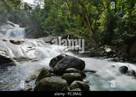 Josephine Falls ist ein großer Wasserfall und ein beliebtes Touristenziel und Badeplatz, Josephine Falls gehen, Bartle Frere, QLD, Australien Stockfoto