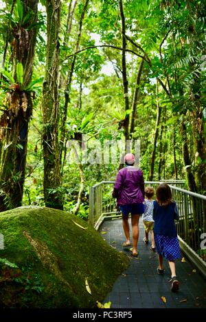 Eine Mutter und Kinder zusammen zu Fuß durch feuchten tropischen Regenwald auf dem Weg nach Josephine Falls, Bartle Frere, QLD, Australien Stockfoto
