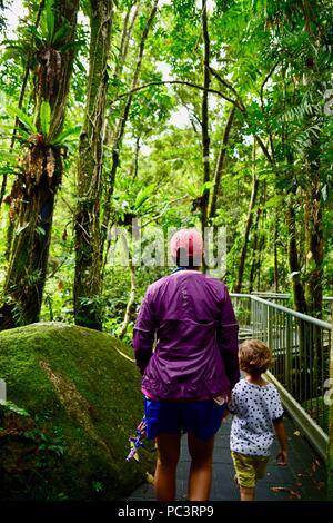 Eine Mutter und Kinder zusammen zu Fuß durch feuchten tropischen Regenwald auf dem Weg nach Josephine Falls, Bartle Frere, QLD, Australien Stockfoto