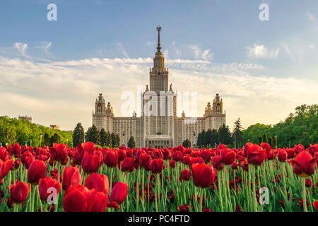 Moskau City Skyline am Moskauer Staatliche Lomonossov-Universität, Moskau, Russland Stockfoto