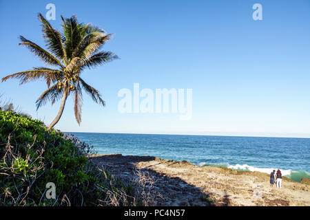 Stuart Florida, Hutchinson Island, Ross Witham Beach, Wasser im Atlantischen Ozean, Anastasia geologische Formation, Coquina-Kalkstein, Kokospalme, Besucher reisen tr Stockfoto