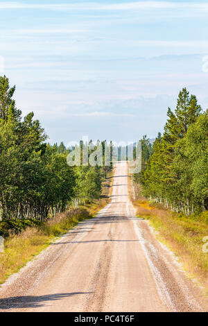 Gerade Schotterstraße in einem Waldgebiet Stockfoto