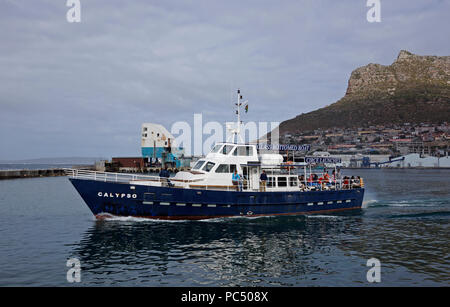 Touristen, die eine Kreuzfahrt nach Seal Island von Hout Bay Hafen in der Nähe von Kapstadt, Südafrika. Stockfoto