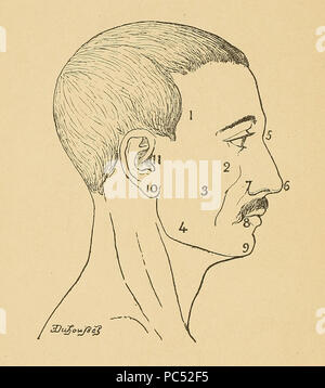 14 Bertillon - Identifikation anthropométrique (1893) 356 Stockfoto