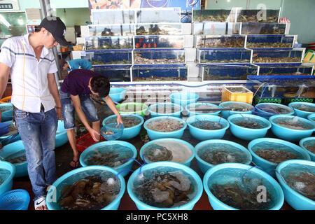 Frisches Sea Food Restaurant. Danang. Vietnam. | Verwendung weltweit Stockfoto