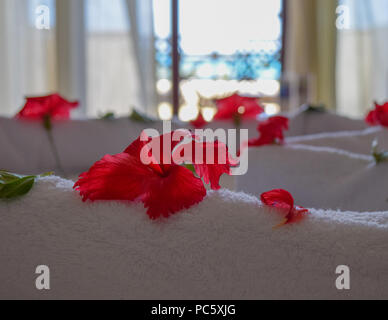 Hibiscus Blüten auf dem Bett mit wunderschönen Blick auf das Meer im Hintergrund Stockfoto