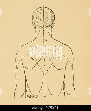 14 Bertillon - Identifikation anthropométrique (1893) 362 Stockfoto