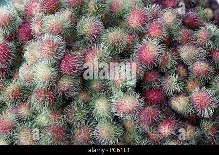 Rambutan zum Verkauf auf dem Markt. Kon Tum. Vietnam. | Verwendung weltweit Stockfoto