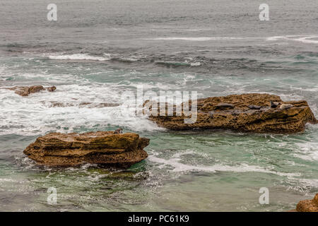 La Jolla Cove ist eine kleine, malerische Bucht und Strand, die Klippen in La Jolla, San Diego, Kalifornien, USA umgeben ist. Die Bucht ist als Pa geschützt Stockfoto