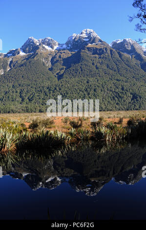 17. 22 Apr, 2018. Auf dem Weg im Fjordland National Park auf der Südinsel von Neuseeland - See Spiegel, im April 2018 | Verwendung der weltweiten Kredit aufgezeichnet: dpa/Alamy leben Nachrichten Stockfoto