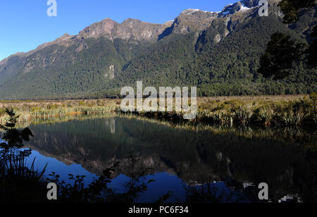 17. 22 Apr, 2018. Auf dem Weg im Fjordland National Park auf der Südinsel von Neuseeland - See Spiegel, im April 2018 | Verwendung der weltweiten Kredit aufgezeichnet: dpa/Alamy leben Nachrichten Stockfoto