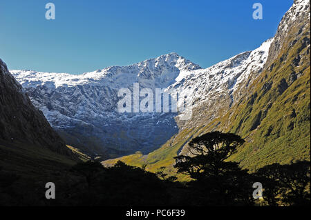 17. 22 Apr, 2018. Auf dem Weg in Fjordland National Park auf der Südinsel von Neuseeland, im April 2018 | Verwendung der weltweiten Kredit genommen: dpa/Alamy leben Nachrichten Stockfoto