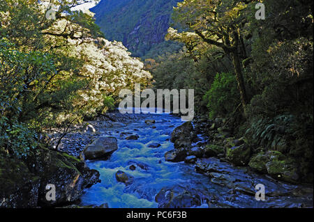 17. 22 Apr, 2018. Auf dem Weg in Fjordland National Park auf der Südinsel von Neuseeland, im April 2018 | Verwendung der weltweiten Kredit genommen: dpa/Alamy leben Nachrichten Stockfoto