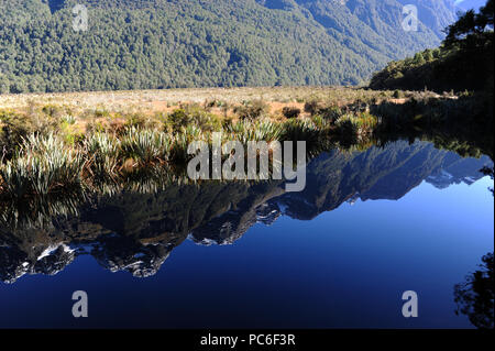 17. 22 Apr, 2018. Auf dem Weg im Fjordland National Park auf der Südinsel von Neuseeland - See Spiegel, im April 2018 | Verwendung der weltweiten Kredit aufgezeichnet: dpa/Alamy leben Nachrichten Stockfoto