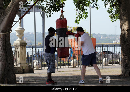 La Habana, La Habana, Kuba. 1 Aug, 2018. Ein Tourist nimmt Boxing Klassen in einem Park in Havanna, Kuba. Credit: Alejandro Ernesto/ZUMA Draht/Alamy leben Nachrichten Stockfoto