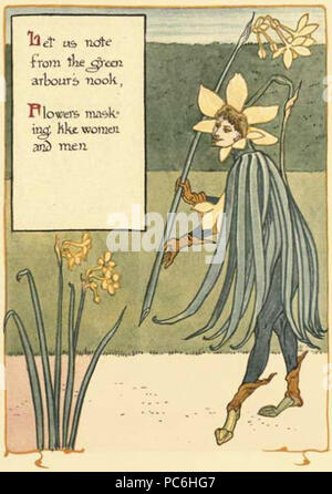 50 Jonquil Masquerade Stockfoto