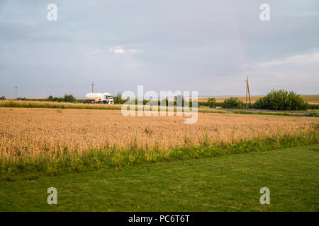 Lkw auf der Straße bewegen durch Weizenfelder. Transport Stockfoto