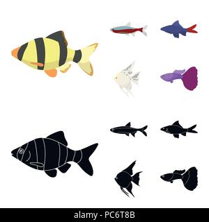 Angelfish, Common, Barbus, neon. Fisch set Sammlung Icons im Cartoon, schwarze Art Vektor Symbol lieferbar Abbildung. Stock Vektor
