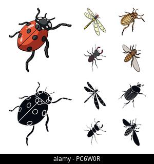 Gliederfüßer Insekten Marienkäfer, Libelle, Käfer, Colorado Käfer Insekten set Sammlung Icons im Cartoon, schwarze Art Vektor Symbol lieferbar isometrische Illus Stock Vektor