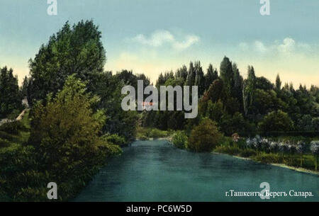 539 Salar - Fluss Taschkent Stockfoto