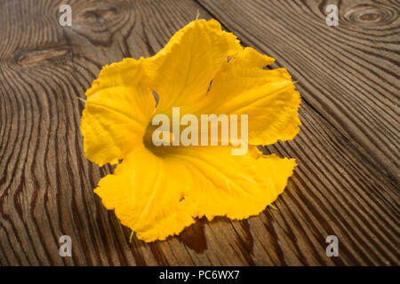 Squash Blossom auf Holz Hintergrund Stockfoto