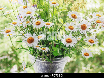 Hübsches Bouquet von Sommer Gänseblümchen in Vase Stockfoto