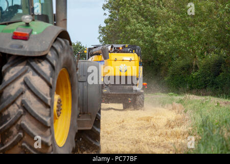 Mähdrescher Ernte von Gerste in Norfolk, Großbritannien. Stockfoto