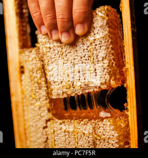 Honeycomb in einem Holzrahmen in Stücke geschnitten Stockfoto