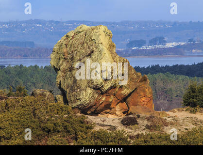 Agglestone, vor kurzem Sockel rock gefallen, erodiert Relikt aus Eisen - zementiert tertiären Sandstein genannt Agglestone Grit, Dorset, England Stockfoto