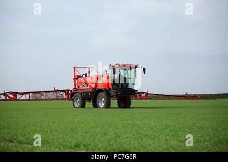 A SAM - Sands Agricultural Machinery - Selbstfahrende Feldspritze. Hier gesehen Dünger / Dünger auf eine junge Ernte in Großbritannien auftragen. Stockfoto