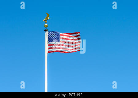 Die Flagge der Vereinigten Staaten von Amerika weht im Wind an Vollmast auf einem weißen Pol mit einem goldenen Adler auf Ball gegen blauen Himmel gekrönt. Stockfoto