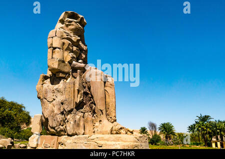 Kolosse von Memnon, West Bank, Luxor, Ägypten, Afrika Stockfoto